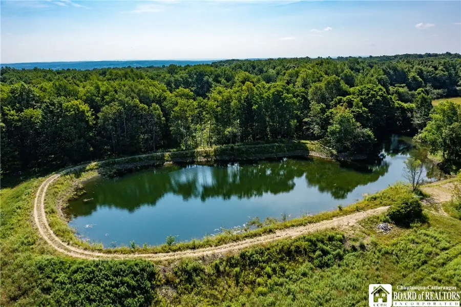 1546 Swede Road, Ashville, NY 14710 - #3