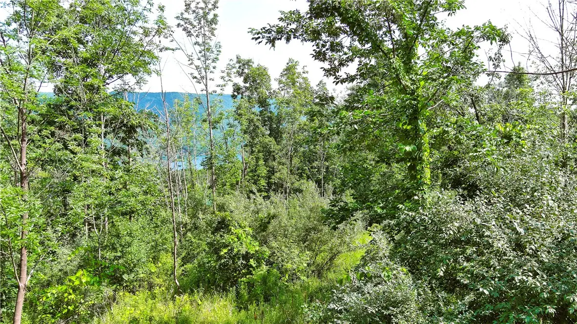 0000 Hawks Road, Naples, NY 14512 - #1