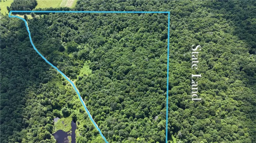 *rabbit Path (polp: 409 Cty Rd 5), German, NY 13801 - #2