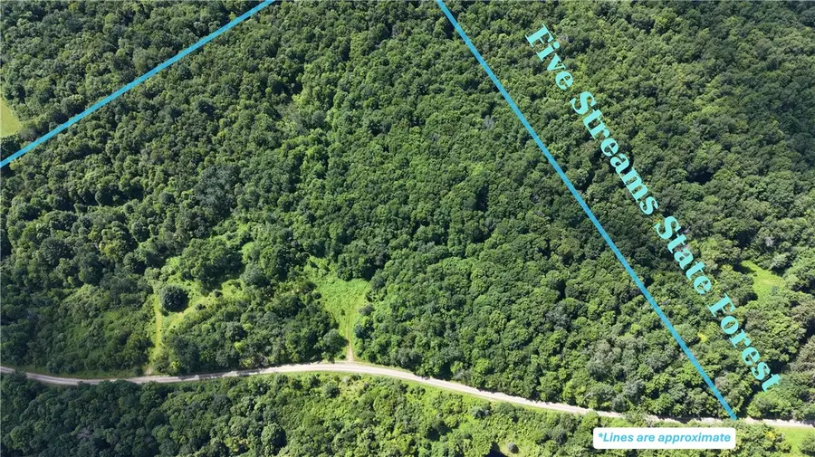 *rabbit Path (polp: 409 Cty Rd 5), German, NY 13801 - #3