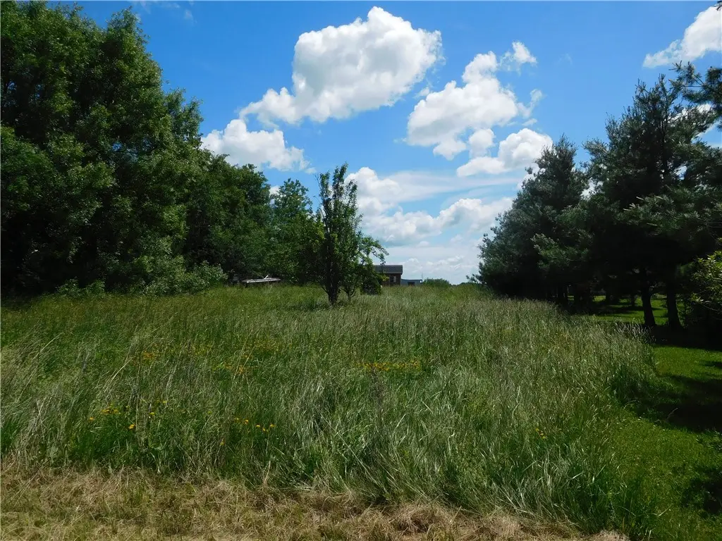 9727 Case (aka Vesa) Road, Interlaken, NY 14847 - #1