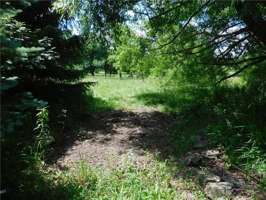 9727 Case (aka Vesa) Road, Interlaken, NY 14847 - #3