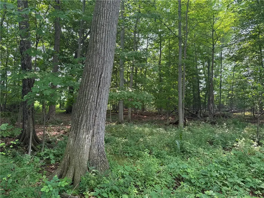 0 Wilson Ext Road, Albion, NY 14411 - #2