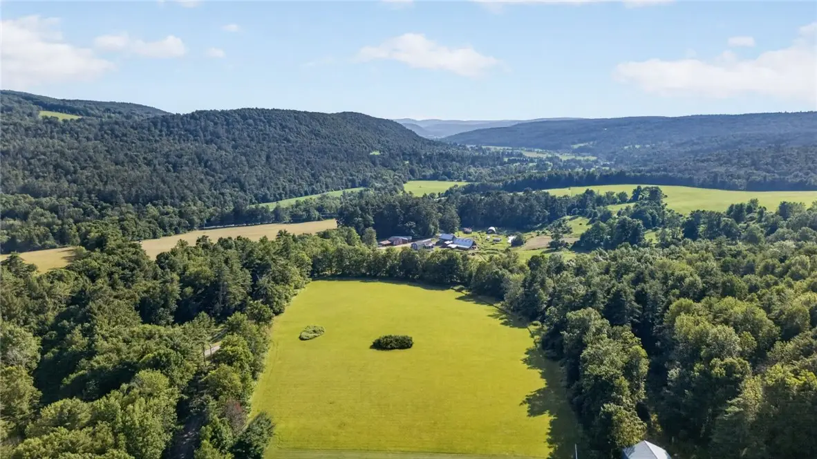 L1 Grange Hall Road, Franklin, NY 13820 - #1