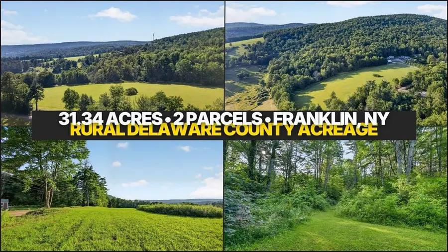 L1 Grange Hall Road, Franklin, NY 13820 - #2