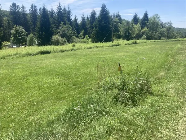 Herb Bedell Road, Sidney Center, NY 13804