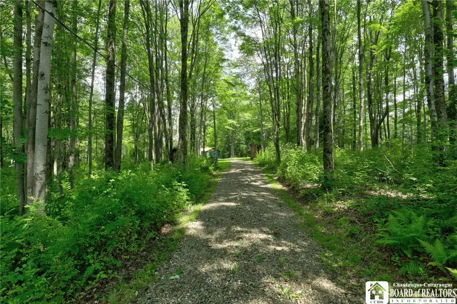7034 Phelps Road, Panama, NY 14767 - #3