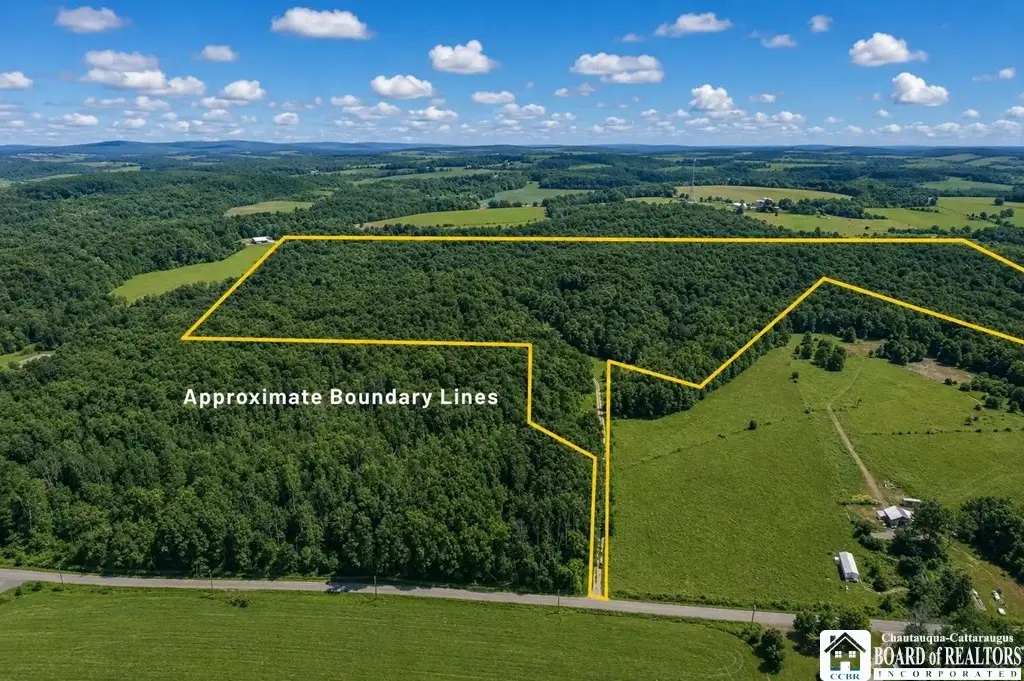 0 Leach Hill Road, Ellington, NY 14747 - #1