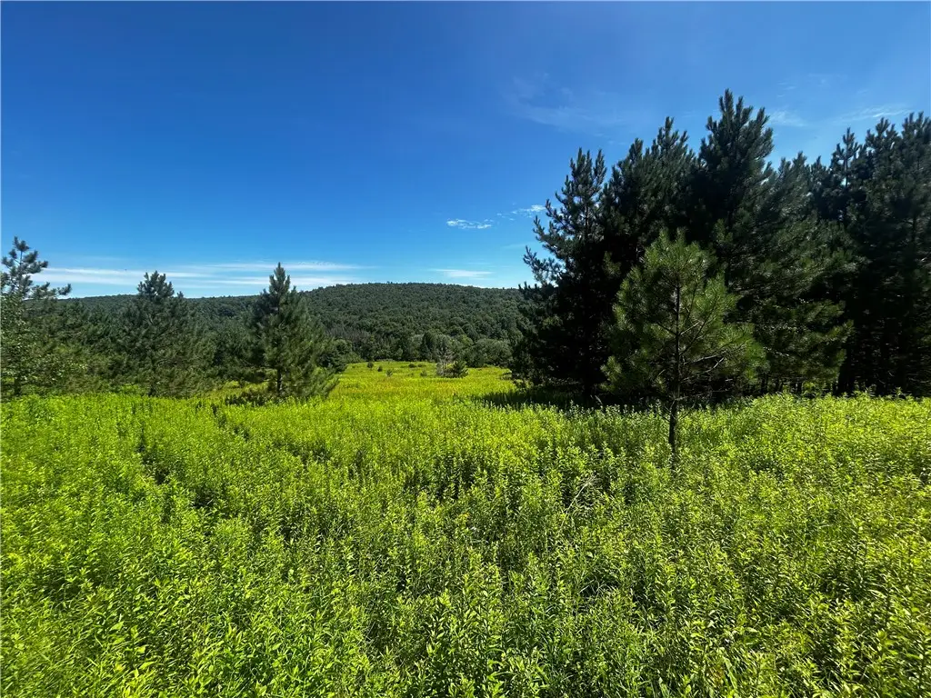 Mary Brown Hill Road, Laurens, NY 13796 - #1
