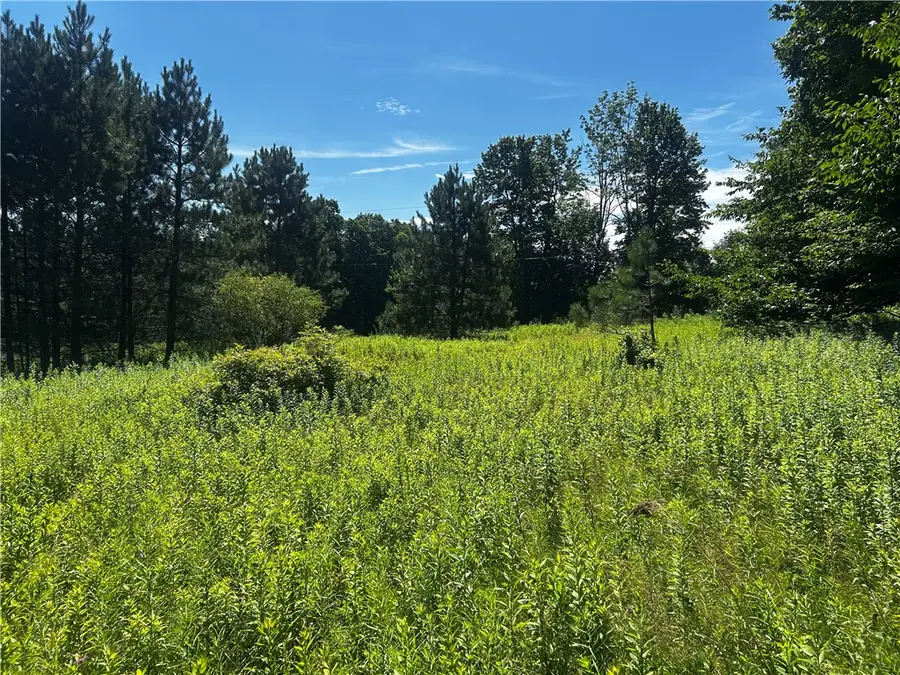 Mary Brown Hill Road, Laurens, NY 13796 - #2