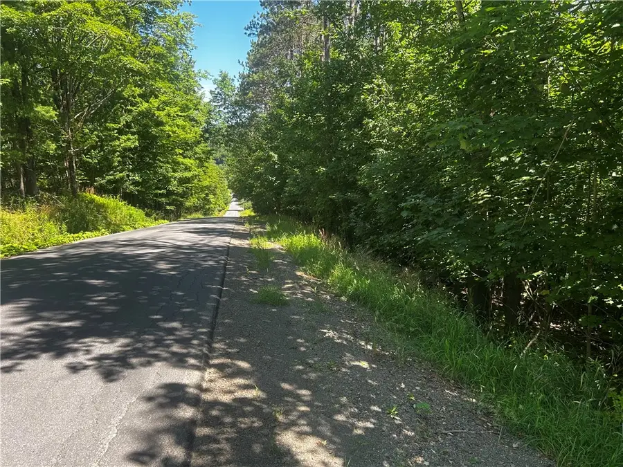 Mary Brown Hill Road, Laurens, NY 13796 - #3