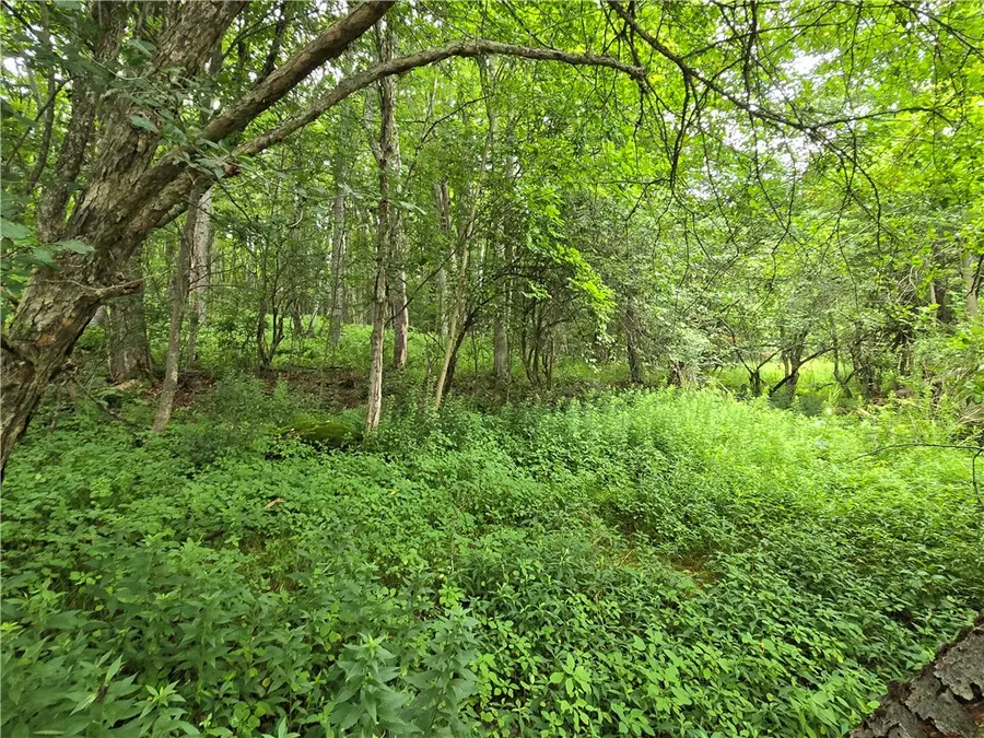 0 County Highway 10, Meredith, NY 13757 - #3