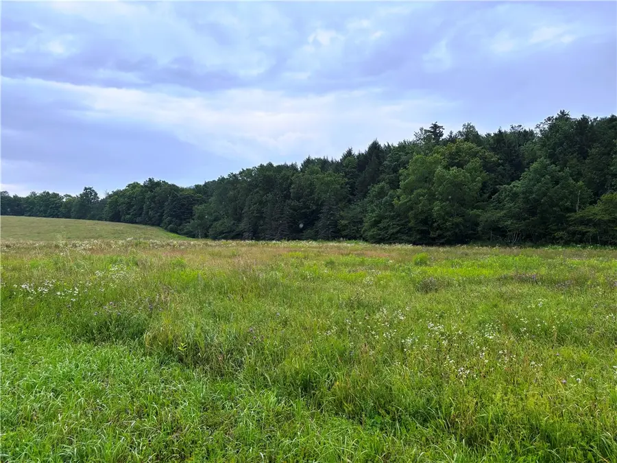 Lot #44 Rt-23, Harpersfield, NY 13786 - #2