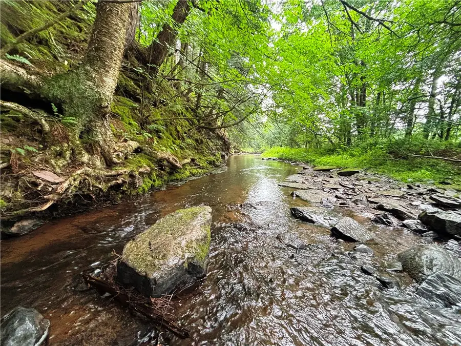 Lot #44 Rt-23, Harpersfield, NY 13786 - #3