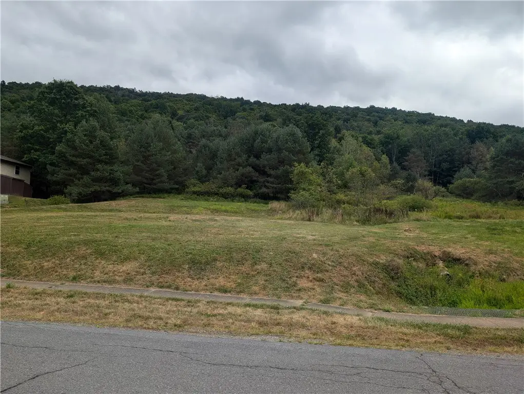 702 E Mill Street, Port Allegany, PA 16743 - #1