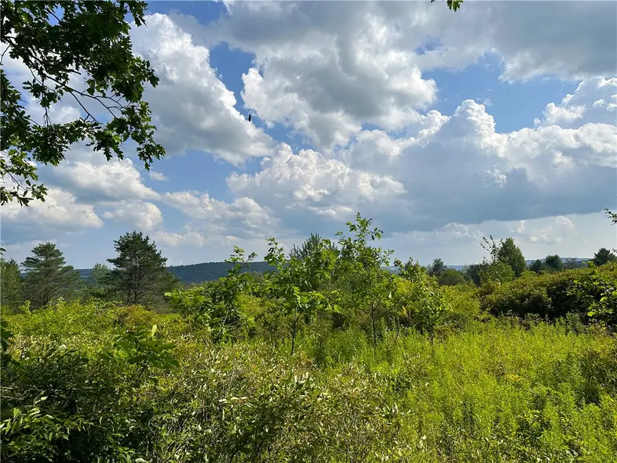 0 Cr-17, Friendship, NY 14739 - #2