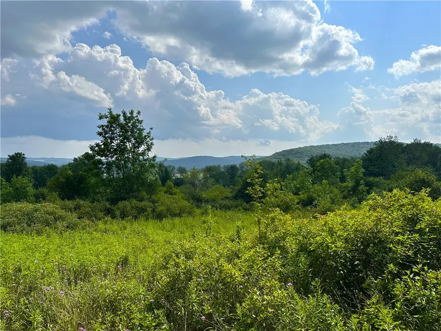 0 Cr-17, Friendship, NY 14739 - #3