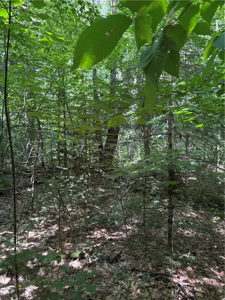 (0) Ericson Lane, Jefferson, NY 12093 - #2