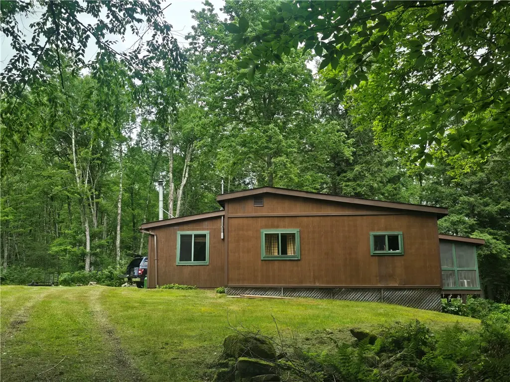 635 Balsam Tyler Road, Pharsalia, NY 13801 - #1