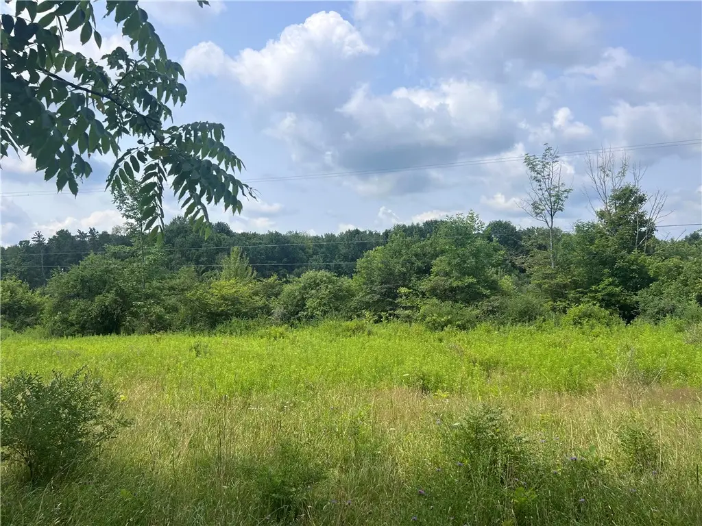 0 Syrian Hill Rd, Solon, NY 13101 - #1