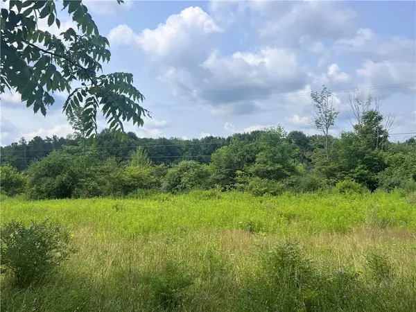0 Syrian Hill Rd, Mc Graw, NY 13101