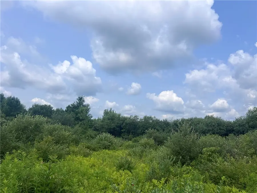 0 Syrian Hill Rd, Solon, NY 13101 - #2