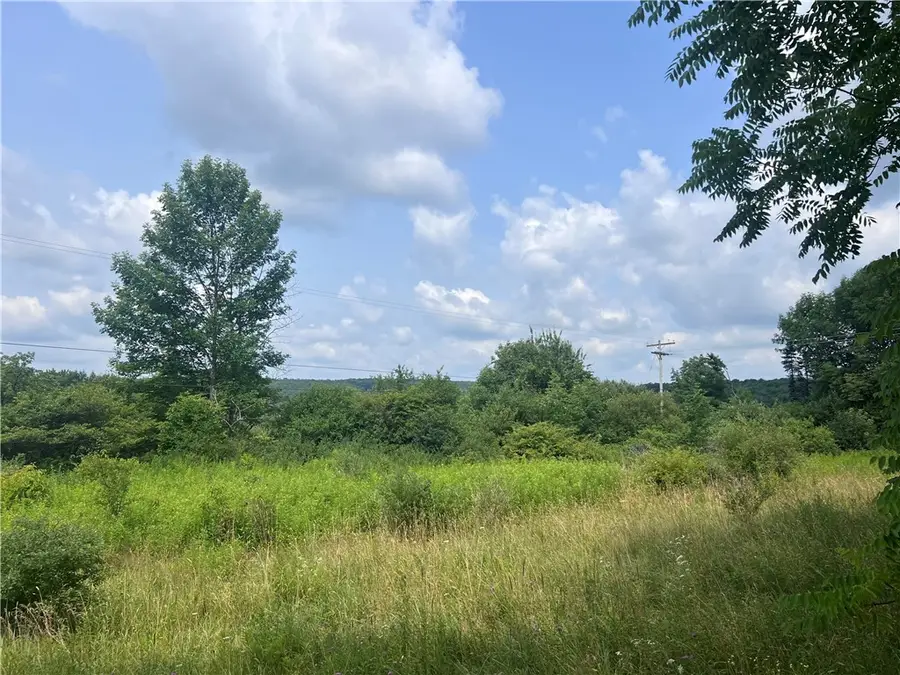 0 Syrian Hill Rd, Solon, NY 13101 - #3