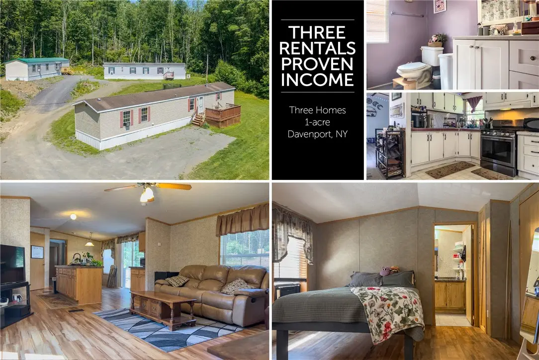 348 Vandeusen Road, Davenport, NY 13750 - #1