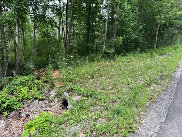 00 Stagecoach Road, Conesus, NY 14435
