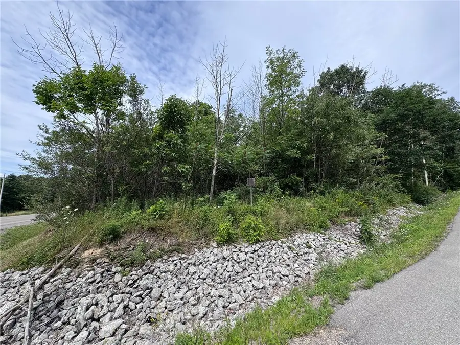 00 Stagecoach Road, Conesus, NY 14435 - #2