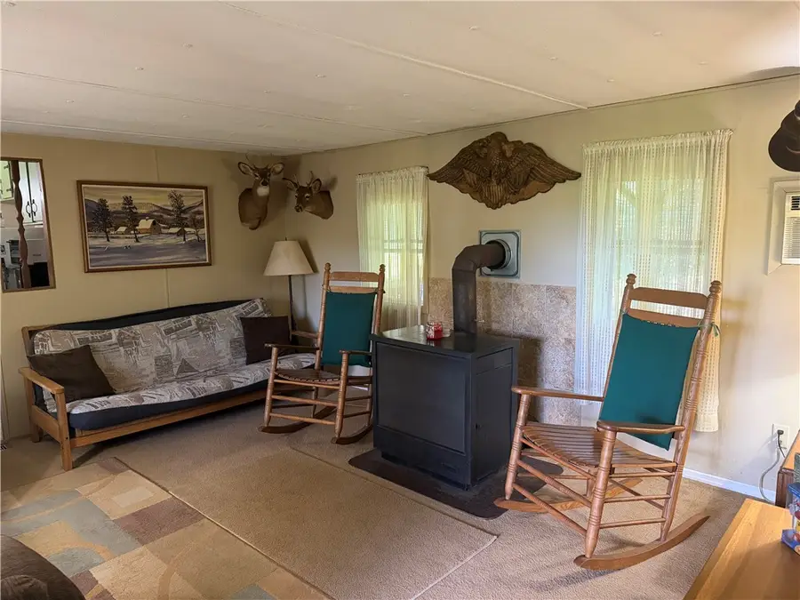 375 N Tyner Rd, Greene, NY 13778 - #3