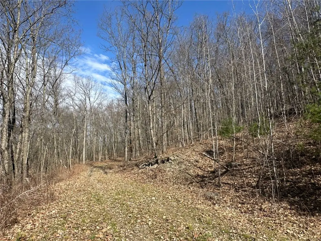 0 O Brien Road N, Savona, NY 14879 - #1