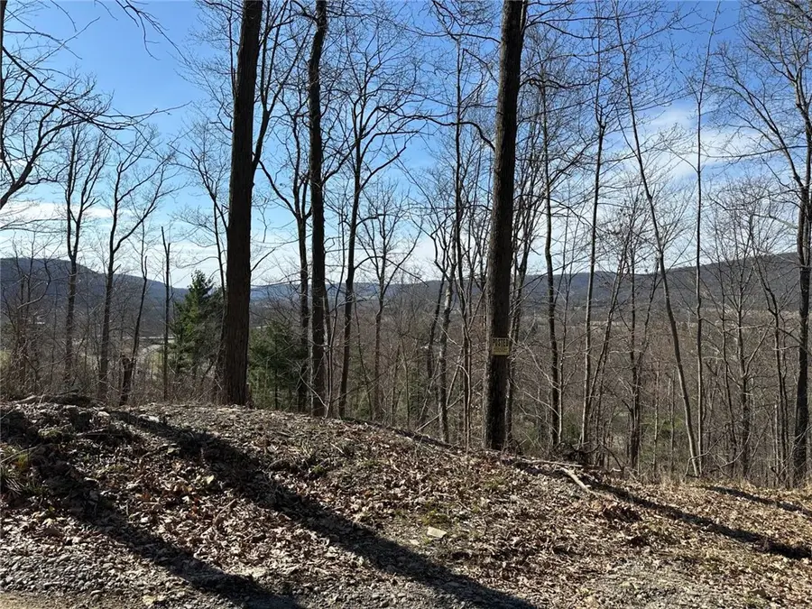 0 O Brien Road N, Savona, NY 14879 - #3