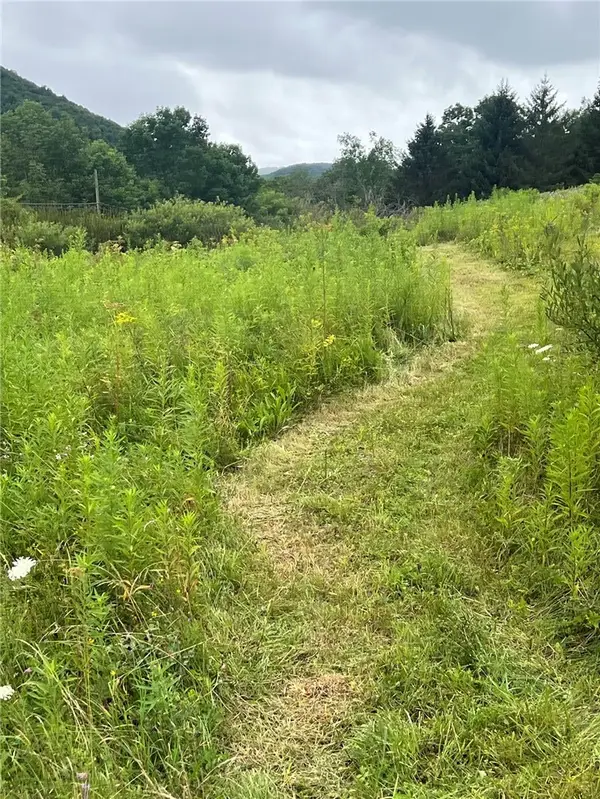 State Highway 28, Delhi, NY 13753