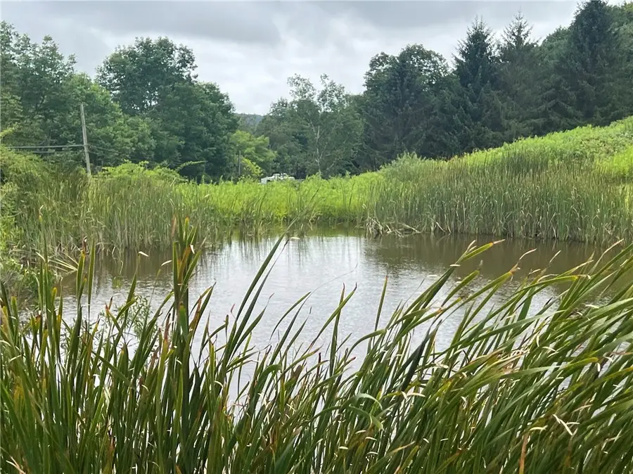 State Highway 28, Delhi, NY 13753 - #2