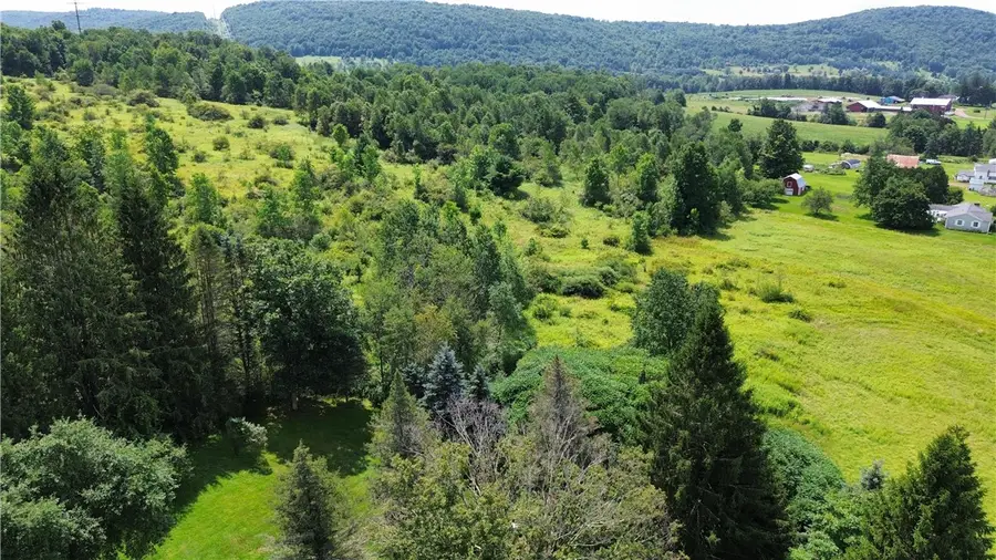 11792 State Highway 357, Franklin, NY 13775 - #3