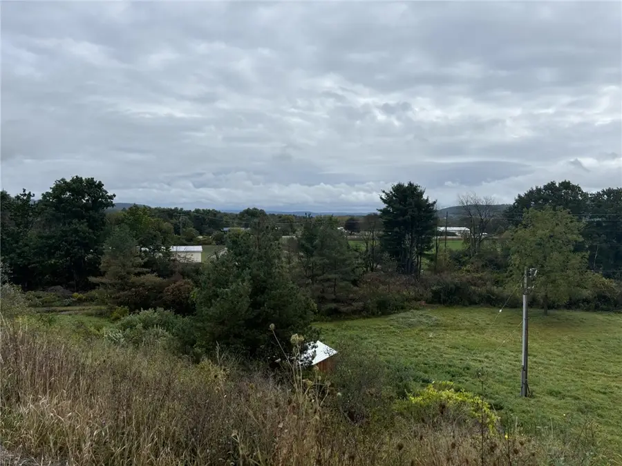0 State Route 70, Arkport, NY 14807 - #3