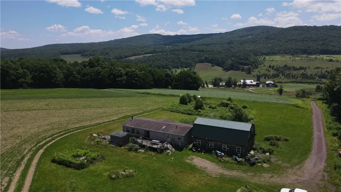 503 N Harpersfield Road, Jefferson, NY 12093 - #1