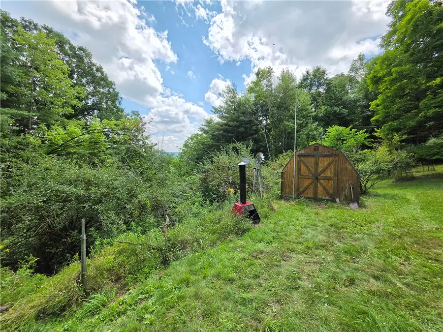 169 Blake Hill Rd, Van Etten, NY 14889 - #3