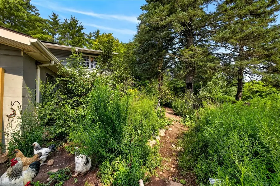 7835 Mcgary Road, Naples, NY 14512 - #3