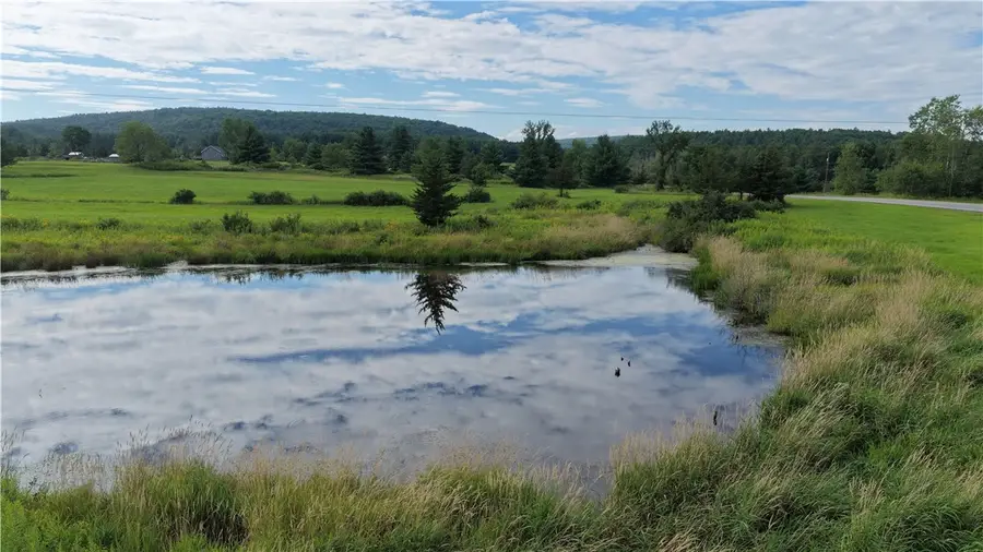 State Route 30, Gilboa, NY 12076 - #3