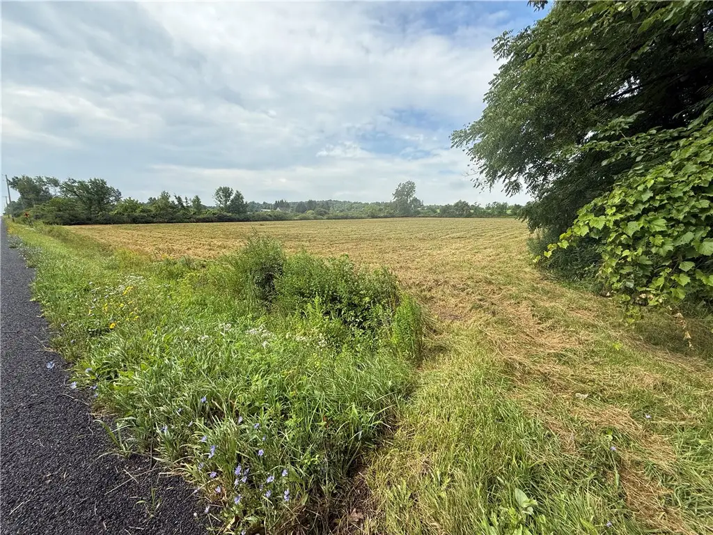 Halseyville Road, Enfield, NY 14886 - #1