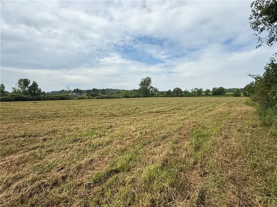 Halseyville Road, Enfield, NY 14886 - #2