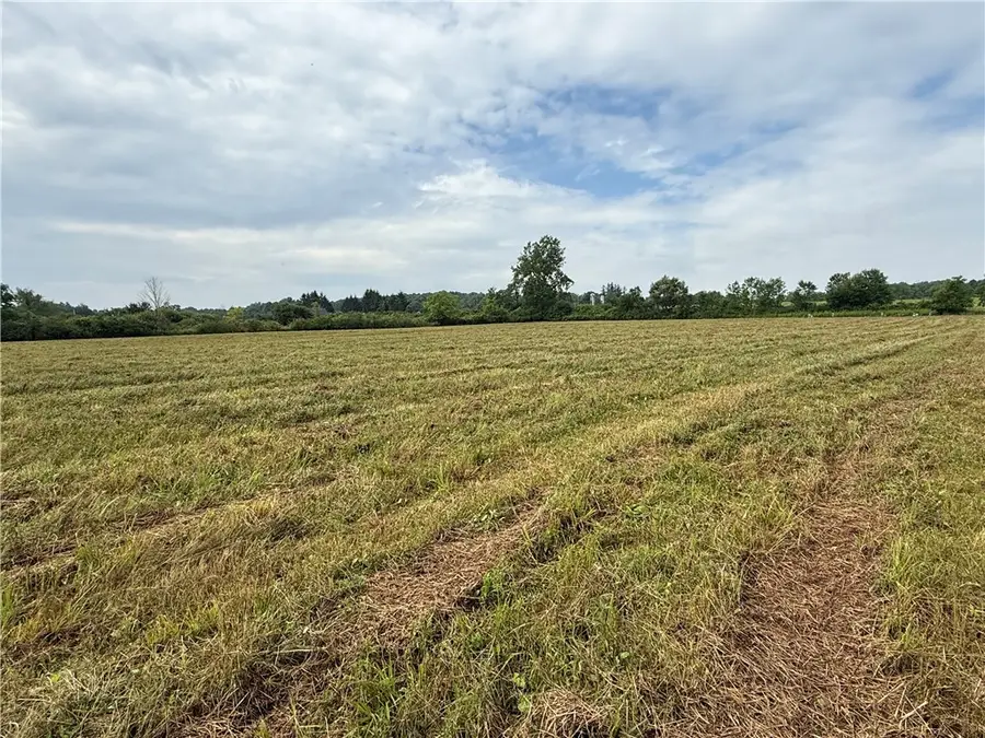 Halseyville Road, Enfield, NY 14886 - #3