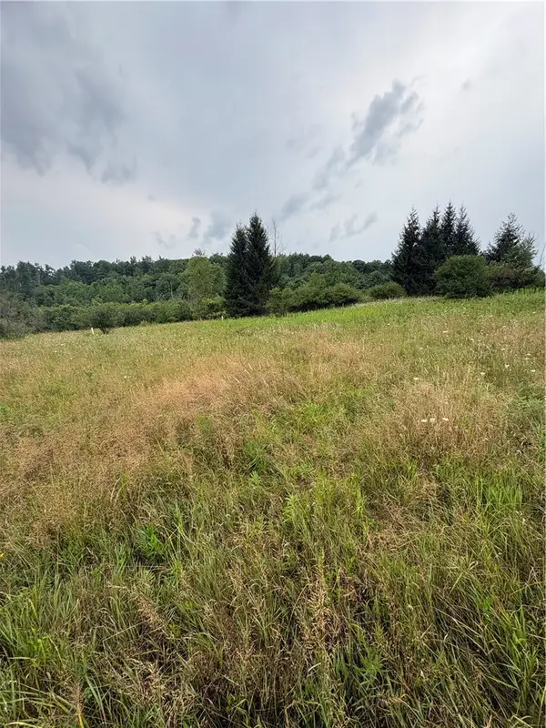 8605 - Lot 1 County Route 96, Hammondsport, NY 14840