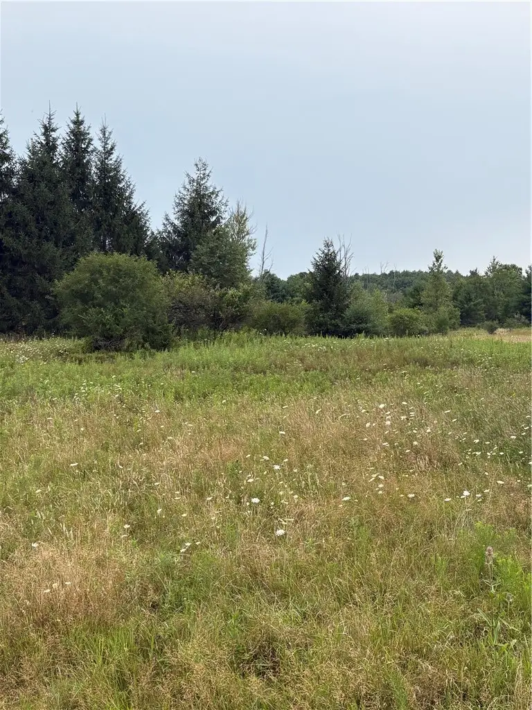 8605 - Lot 1 County Route 96, Hammondsport, NY 14840 - #2