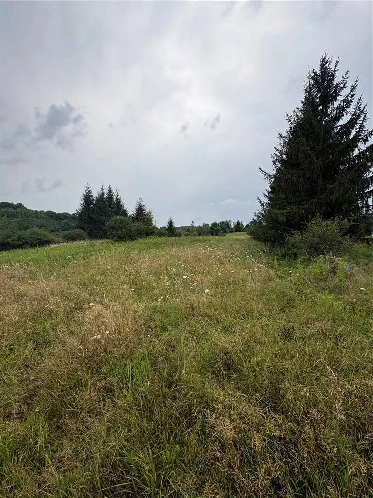 8605 - Lot 1 County Route 96, Hammondsport, NY 14840 - #3