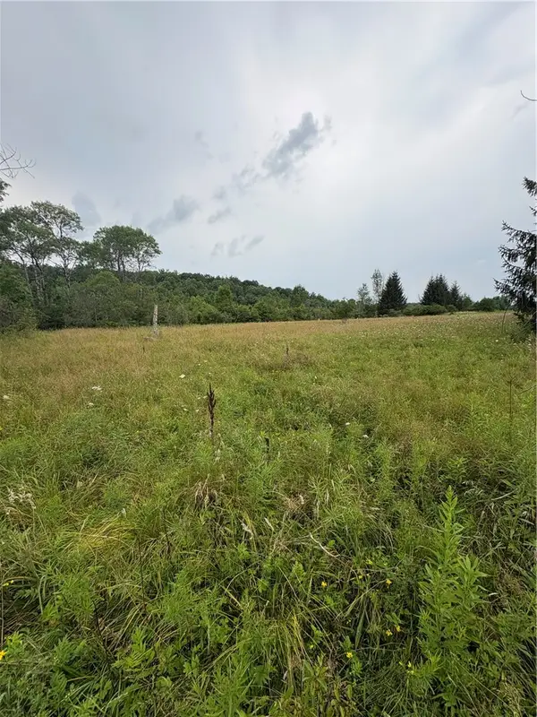 8605 - Lot 2 County Route 96, Hammondsport, NY 14840