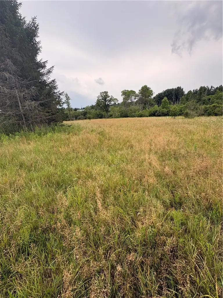 8605 - Lot 2 County Route 96, Hammondsport, NY 14840 - #2