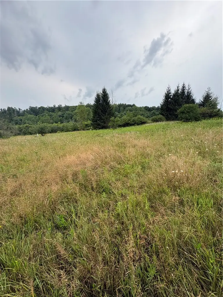 8605 - Lot 2 County Route 96, Hammondsport, NY 14840 - #3